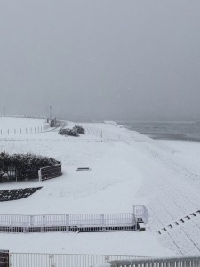 IMG_0353河口