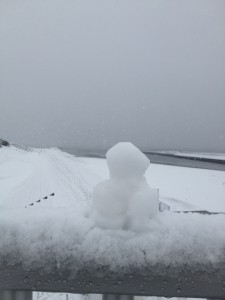 IMG_0354雪だるま