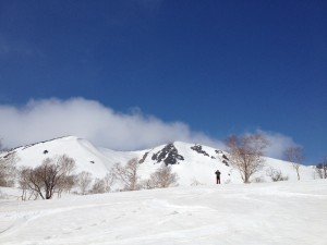 IMG_0556