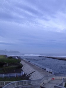 IMG_0599
