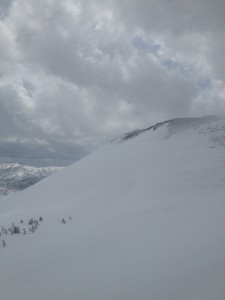 IMG_1373